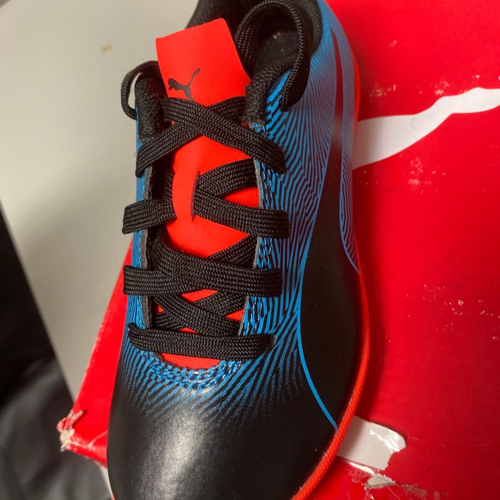 Kids pumas
